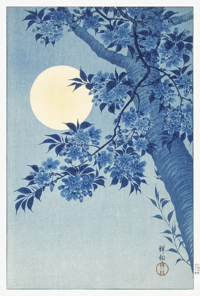 Blossoming Cherry on a Moonlit Night by Ohara Koson